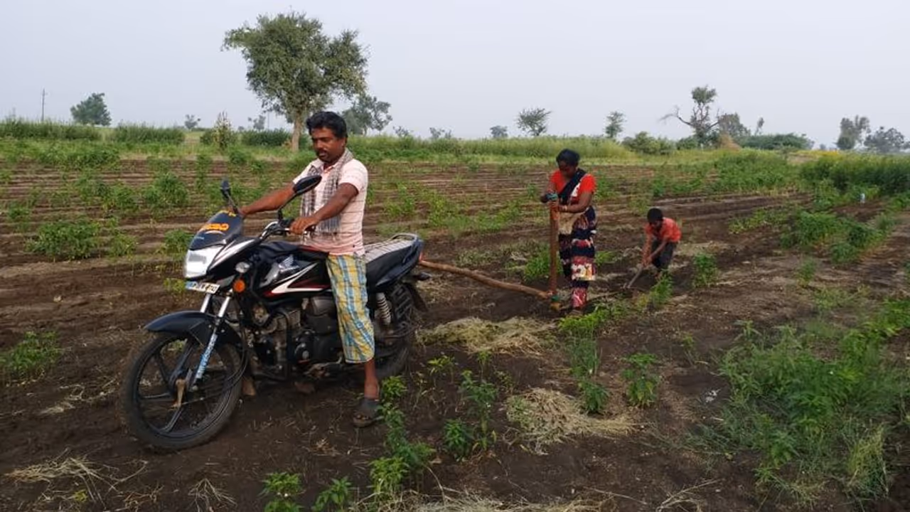 <p>ಈಗಾಗಲೇ ಈರುಳ್ಳಿ ಮತ್ತು ಮೆಣಸಿನ ಬೆಳೆ ಬೆಳೆಯಲಾಗಿದ್ದು, ಈ ಬೆಳೆಗಳ ಮಧ್ಯೆ ಮಿಶ್ರ ಬೆಳೆಯಾಗಿ ಜೋಳ ಬೆಳೆಯಲಾಗುತ್ತದೆ. ಆದರೆ ಬೆಳೆಯಲ್ಲಿಯೇ ಎತ್ತು ಅಥವಾ ಟ್ರ್ಯಾಕ್ಟರ್ ಬಳಸಿ ಬಿತ್ತನೆ ಮಾಡಲು ಬರುವದಿಲ್ಲ. ಕೇವಲ ಕೂಲಿ ಆಳುಗಳ ಮೂಲಕ ಬೀಜ ಊರಿಸಿ (ನಾಟಿ) ಬೇಕು. ಹೀಗೆ ಬೀಜ ಊರಿಸಲು ಒಂದು ಎಕರೆಗೆ ಕನಿಷ್ಟ 5 ಆಳುಗಳು 2 ದಿನ ಶ್ರಮಿಸಬೇಕು. ಇದಲ್ಲದೇ ಎತ್ತಿನಂತೆ ಹೆಗಲಿಗೆ ನೊಗ ಹೊತ್ತು ಮನುಷ್ಯರೇ ಎಳೆ ಗುಂಟೆ ಎಳೆಯುತ್ತಾ ಬಿತ್ತನೆಯನ್ನು ಮಾಡಬೇಕು. ಆದರೆ ಹೀಗೆ ಎಳೆಯುವಾಗ ಹೆಗಲು ಮತ್ತು ಹೊಟ್ಟೆಗೆ ಆಯಾಸ ಮತ್ತು ಶ್ರಮ ಹೆಚ್ಚಾಗುತ್ತದೆ. </p> <p>ಈಗಾಗಲೇ ಈರುಳ್ಳಿ ಮತ್ತು ಮೆಣಸಿನ ಬೆಳೆ ಬೆಳೆಯಲಾಗಿದ್ದು, ಈ ಬೆಳೆಗಳ ಮಧ್ಯೆ ಮಿಶ್ರ ಬೆಳೆಯಾಗಿ ಜೋಳ ಬೆಳೆಯಲಾಗುತ್ತದೆ. ಆದರೆ ಬೆಳೆಯಲ್ಲಿಯೇ ಎತ್ತು ಅಥವಾ ಟ್ರ್ಯಾಕ್ಟರ್ ಬಳಸಿ ಬಿತ್ತನೆ ಮಾಡಲು ಬರುವದಿಲ್ಲ. ಕೇವಲ ಕೂಲಿ ಆಳುಗಳ ಮೂಲಕ ಬೀಜ ಊರಿಸಿ (ನಾಟಿ) ಬೇಕು. ಹೀಗೆ ಬೀಜ ಊರಿಸಲು ಒಂದು ಎಕರೆಗೆ ಕನಿಷ್ಟ 5 ಆಳುಗಳು 2 ದಿನ ಶ್ರಮಿಸಬೇಕು. ಇದಲ್ಲದೇ ಎತ್ತಿನಂತೆ ಹೆಗಲಿಗೆ ನೊಗ ಹೊತ್ತು ಮನುಷ್ಯರೇ ಎಳೆ ಗುಂಟೆ ಎಳೆಯುತ್ತಾ ಬಿತ್ತನೆಯನ್ನು ಮಾಡಬೇಕು. ಆದರೆ ಹೀಗೆ ಎಳೆಯುವಾಗ ಹೆಗಲು ಮತ್ತು ಹೊಟ್ಟೆಗೆ ಆಯಾಸ ಮತ್ತು ಶ್ರಮ ಹೆಚ್ಚಾಗುತ್ತದೆ. </p>