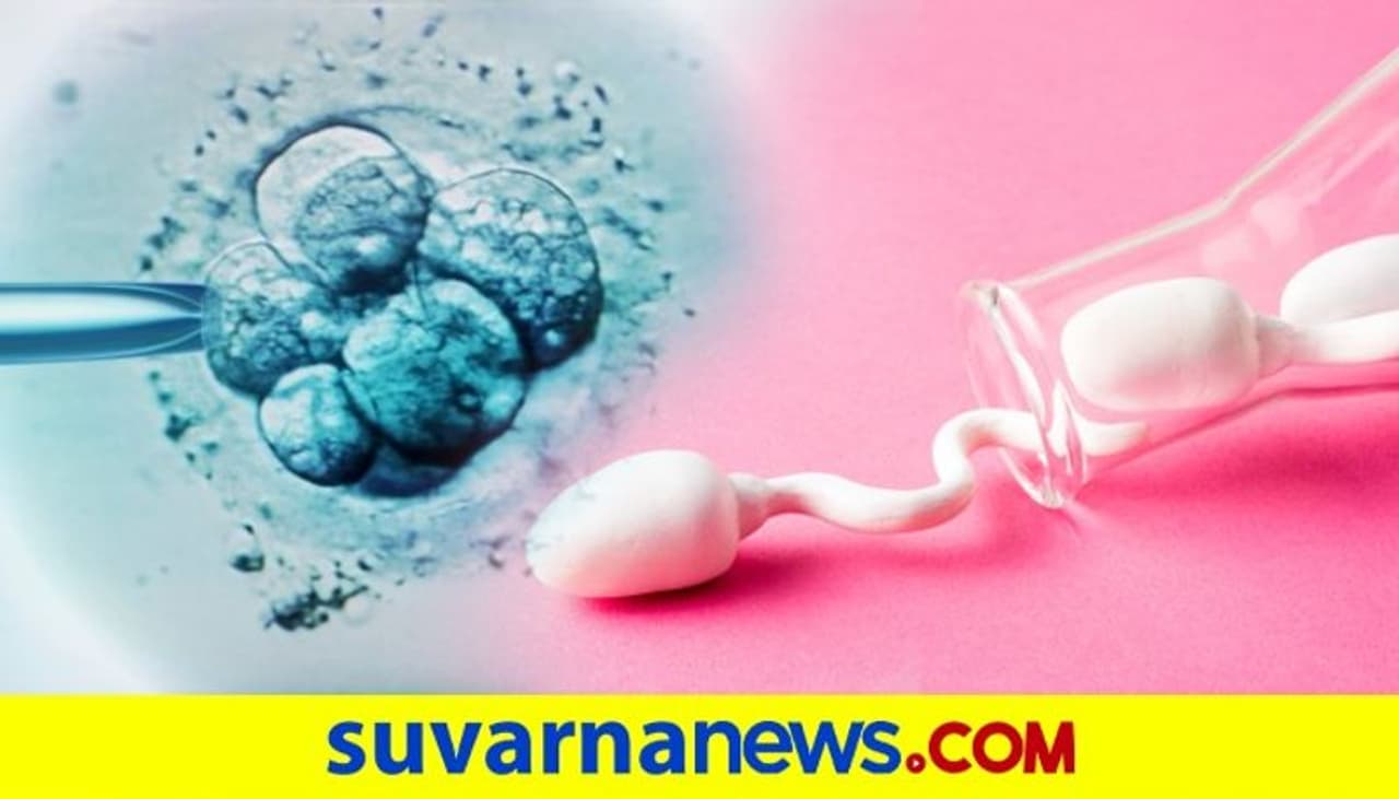 <p>'Sperm Smuggling' ಹೌದು &nbsp;ವೀರ್ಯ ಕಳ್ಳ ಸಾಗಾಟ.. ಇದಕ್ಕೂ ಮತ್ತೆ ಭಯೋತ್ಪಾದನೆಯ ಟಚ್.. &nbsp;ಇಸ್ರೇಲ್‌ನ ನೆರೆ ರಾಷ್ಟ್ರ ಪ್ಯಾಲೆಸ್ಟೈನ್‌ನಲ್ಲಿ 'ವೀರ್ಯ ಕಳ್ಳಸಾಗಣೆ' &nbsp;ನಿರಂತರ.</p>
