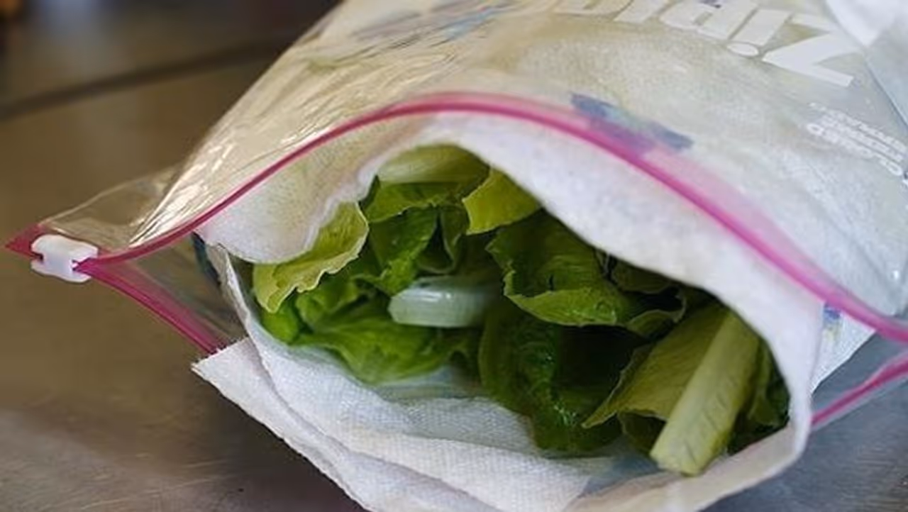 <p>ಹಸಿರು ಎಲೆಗಳ ತರಕಾರಿಗಳನ್ನು ಯಾವಾಗಲೂ ಕತ್ತರಿಸಿ ಪೇಪರ್‌ನಲ್ಲಿ ಇರಿಸಿ. ಅದರ &nbsp;ತೇವಾಂಶ ಉಳಿಯುವುದರ ಜೊತೆ ಹೆಚ್ಚು ಕಾಲ ಫ್ರೆಶ್‌ ಆಗಿರುತ್ತದೆ.</p>