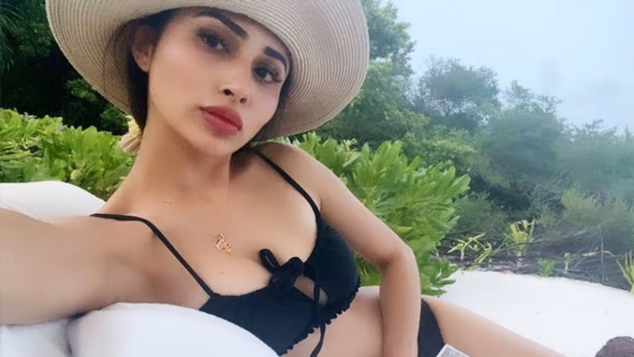 <p style="text align: justify;">ఢిల్లీలో మాస్ కమ్యూనికేషన్ కోర్స్ మధ్యలో వదిలేసి బాలీవుడ్ హీరోయిన్ గా ఎదగాలని ముంబై వచ్చిన మౌని రాయ్...2004లో వచ్చిన రన్ మూవీలో ఓ సాంగ్ లో డాన్సర్ గా వెండితెర ఎంట్రీ ఇవ్వడం జరిగింది.</p>