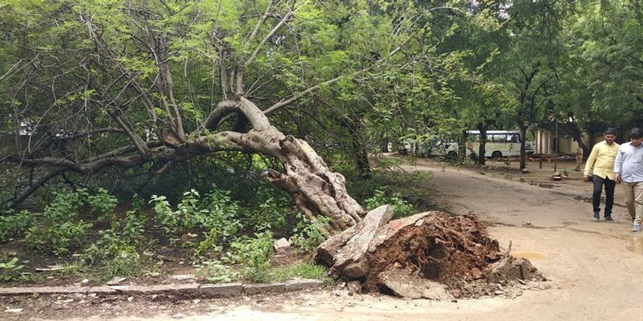 <p>ಪ್ರಸಕ್ತ ವರ್ಷ ಕಳೆದ ನಾಲ್ಕಾರು ದಿನಗಳಿಂದ ಸುರಿಯುತ್ತಿರುವ ಮಳೆಯಿಂದಾಗಿರುವ ಹಾನಿಯ ಲೆಕ್ಕಾಚಾರ ಬೆಚ್ಚಿ ಬೀಳಿಸುವಂತಿದೆ. ಇದು ಇನ್ನು ಹೆಚ್ಚಾಗುತ್ತೆಯೇ ಹೊರತು ಕಡಿಮೆಯಾಗುವ ಯಾವ ಲಕ್ಷಣಗಳೂ ಇಲ್ಲ. ಮಳೆ ಸುರಿಯುತ್ತಲೇ ಇರುವುದು ಹಾಗೂ ಅ. 17ರ ವರೆಗೂ ಮಳೆಯ ಮುನ್ಸೂಚನೆಯನ್ನು ಹವಾಮಾನ ಇಲಾಖೆ ನೀಡದಿರುವುದರಿಂದ ಹಾನಿಯ ಪ್ರಮಾಣವನ್ನು ಈಗಲೇ ಊಹಿಸಲು ಸಾಧ್ಯವಿಲ್ಲ. ಆದರೂ ಈಗಾಗಲೇ ಜಿಲ್ಲಾಡಳಿತ ಜಿಲ್ಲಾದ್ಯಂತ ಕಟ್ಟೆಚ್ಚರ ಘೋಷಣೆ ಮಾಡಿದೆ. ತಹಸೀಲ್ದಾರ್‌ ಮೂಲಕ ಆಯಕಟ್ಟಿನ ಸ್ಥಳಗಳಲ್ಲಿ ಮತ್ತು ನದಿ ಕೊಳ್ಳಗಳ ಪ್ರದೇಶ ವ್ಯಾಪ್ತಿಯಲ್ಲಿ ಜಾಗೃತಿ ಕೈಗೊಳ್ಳಲು ಮುಂದಾಗಿದೆ.</p>