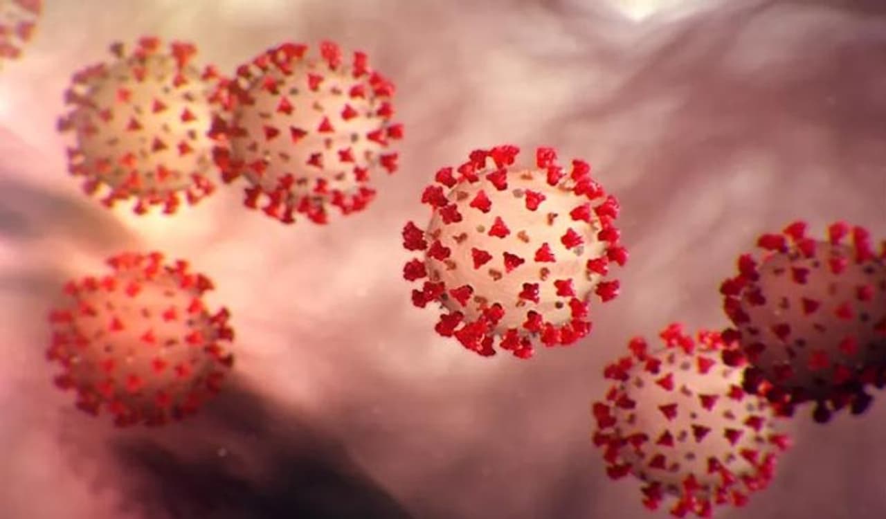 <p>Amid declining cases of coronavirus, India reported 1,52,734 new Covid 19 cases on Monday, the lowest daily rise in cases in the past 50 days, according to the Union Health Ministry data.</p>