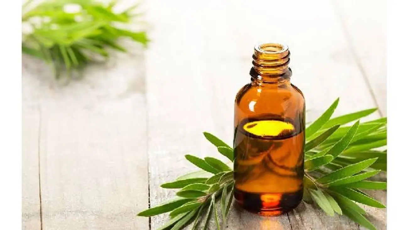 <p>Tea tree oil is quite a strong essential oil and it is best used with a carrier oil like coconut oil. It is also a popular ingredient used in toners, creams, face masks and body washes that are meant for acne prone skin.</p> <p>Tea tree oil is quite a strong essential oil and it is best used with a carrier oil like coconut oil. It is also a popular ingredient used in toners, creams, face masks and body washes that are meant for acne prone skin.</p>