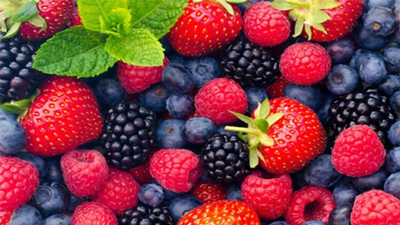 <p style="text align: justify;">In summer, dehydration is one of the common symptoms. As per the nutritionists, they suggest green leafy veggies and colourful fruits to maintain the hydration level and to protect the skin. Upgrade your summer diet.</p> <p style="text align: justify;">In summer, dehydration is one of the common symptoms. As per the nutritionists, they suggest green leafy veggies and colourful fruits to maintain the hydration level and to protect the skin. Upgrade your summer diet.</p>