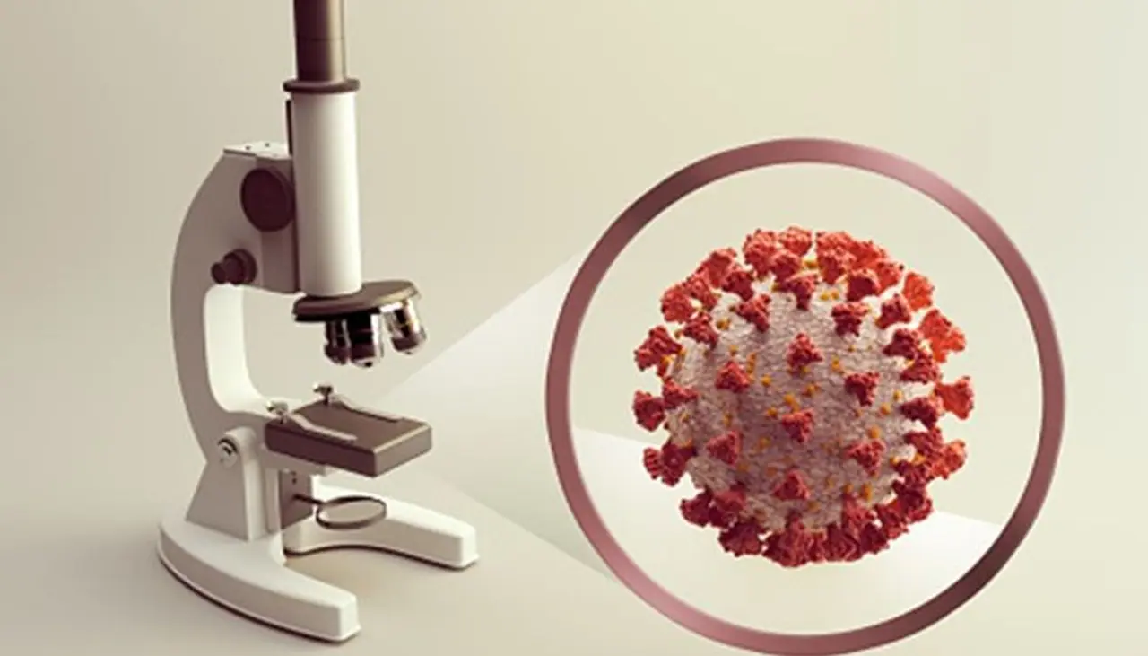 <p>India fightback against Coronavirus has registered yet another landmark achievement. The national coronavirus recovery rate touched 90% on Sunday.<br />&nbsp;</p>