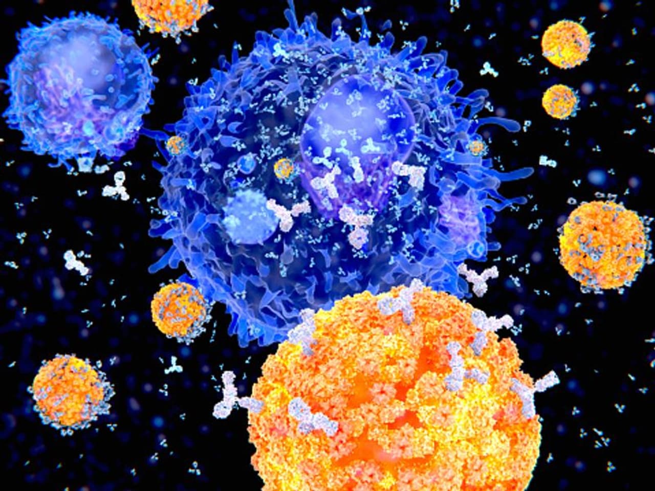 <p>India's Covid 19 caseload rose to 85,53,657 with 45,903 new infections being reported, while the number of people who have recuperated from the disease crossed 79 lakh, pushing the national recovery rate to 92.56%according to the Union health ministry data updated on Monday.</p> <p>India's Covid 19 caseload rose to 85,53,657 with 45,903 new infections being reported, while the number of people who have recuperated from the disease crossed 79 lakh, pushing the national recovery rate to 92.56%according to the Union health ministry data updated on Monday.</p>