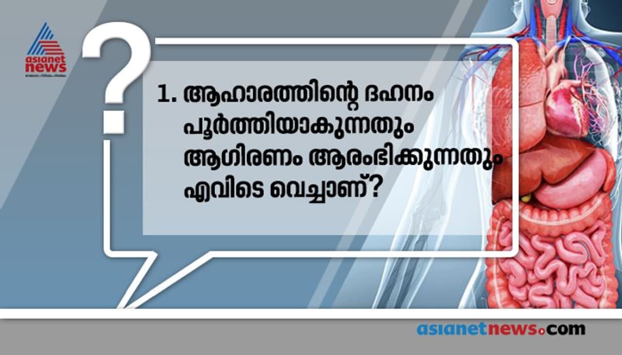 <p>ഉത്തരം: ചെറുകുടൽ</p> <p>ഉത്തരം: ചെറുകുടൽ</p>