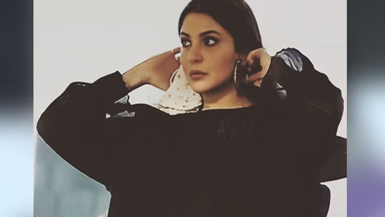 <p>Anushka Sharma is currently expecting her first child with Virat Kohli, in January. Kohli is now in Australia, leading Team India in the limited overs, while he would be back after leading the side in the opening Test. Anushka, meanwhile, is in India.</p>