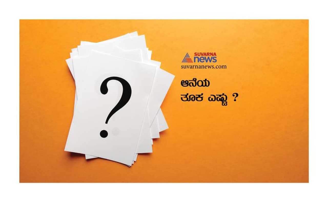 <p>ಭಾರತದಲ್ಲಿ ಕಂಡುಬರುವ ಆನೆಗಳ ಸರಾಸರಿ ತೂಕ 5000 ಕೆ.ಜಿ ವರೆಗೆ ಇರುತ್ತದೆ. ಆಫ್ರಿಕನ್ ಆನೆಗಳು 6000 ಕಿಲೋವರೆಗೆ ಇರುತ್ತದೆ. ಚಿಕ್ಕ ವಯಸ್ಸಿನಲ್ಲಿ ಆನೆಗಳು 2000 ಕೆಜಿಯಿಂದ 6,500 ಕೆಜಿ ವರೆಗೆ ತೂಗಬಹುದು. </p> <p>ಭಾರತದಲ್ಲಿ ಕಂಡುಬರುವ ಆನೆಗಳ ಸರಾಸರಿ ತೂಕ 5000 ಕೆ.ಜಿ ವರೆಗೆ ಇರುತ್ತದೆ. ಆಫ್ರಿಕನ್ ಆನೆಗಳು 6000 ಕಿಲೋವರೆಗೆ ಇರುತ್ತದೆ. ಚಿಕ್ಕ ವಯಸ್ಸಿನಲ್ಲಿ ಆನೆಗಳು 2000 ಕೆಜಿಯಿಂದ 6,500 ಕೆಜಿ ವರೆಗೆ ತೂಗಬಹುದು. </p>