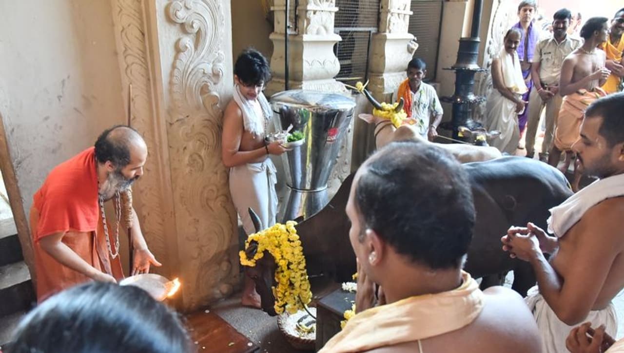 <p>ಶ್ರೀ ಕೃಷ್ಣ ಮಠದಲ್ಲಿ ದೀಪಾವಳಿ ಹಬ್ಬದ ಸಂಭ್ರಮ </p> <p>ಶ್ರೀ ಕೃಷ್ಣ ಮಠದಲ್ಲಿ ದೀಪಾವಳಿ ಹಬ್ಬದ ಸಂಭ್ರಮ </p>