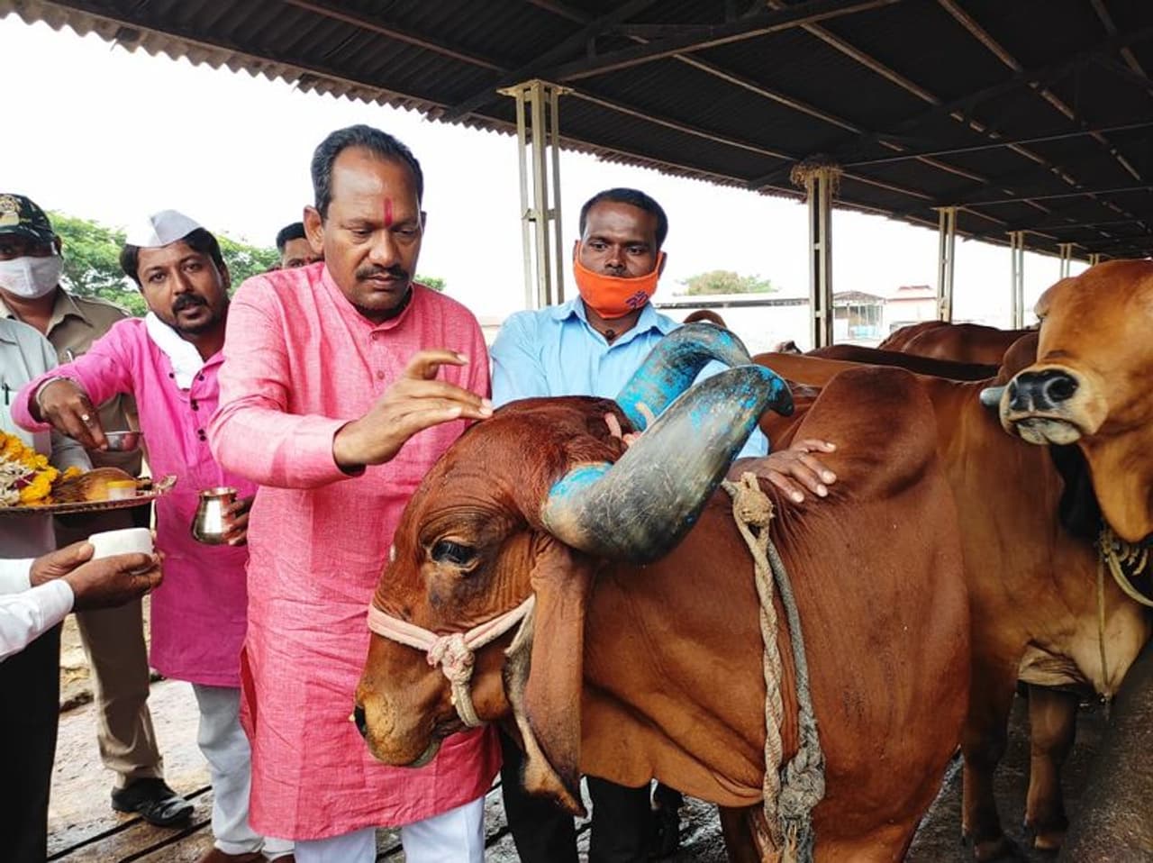 <p>&nbsp;ವಿಜಯಪುರ ಜಿಲ್ಲೆಯ ಪ್ರವಾಸದಲ್ಲಿರುವ ಪಶುಸಂಗೋಪನಾ‌ ಸಚಿವ ಪ್ರಭು ಚವ್ಹಾಣ &nbsp;ಕಗ್ಗೊಡ ಗೋರಕ್ಷಕ ಕೇಂದ್ರಕ್ಕೆ ಭೇಟಿ ನೀಡಿದ್ದಾರೆ. &nbsp;<br />ಅತ್ಯಂತ ಅದ್ಭುತವಾಗಿ ಗೋಶಾಲೆವನ್ನು ನಿರ್ವಹಣೆ ಮಾಡಿರುವುದನ್ನು ಕಂಡು ಸಚಿವರು ಸಂತೋಷ ವ್ಯಕ್ತಪಡಿಸಿದ್ದಾರೆ.&nbsp;</p>