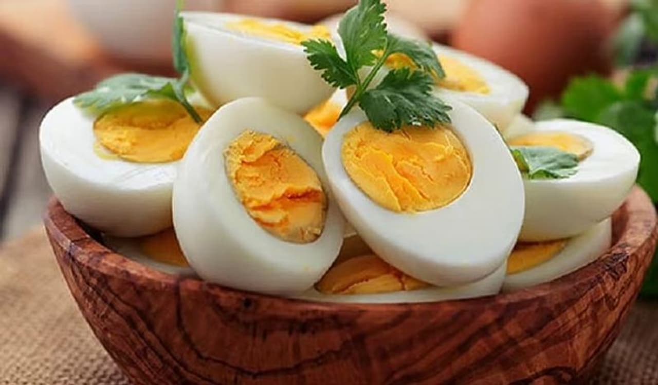 <p>Do you love eggs for breakfast? You are one of the millions egg lovers that can have eggs in any form to give their mornings an energetic start. From scrambled eggs to boiled eggs, you can make them any which way you like, and they'll taste great in each and every recipe.</p> <p>Do you love eggs for breakfast? You are one of the millions egg lovers that can have eggs in any form to give their mornings an energetic start. From scrambled eggs to boiled eggs, you can make them any which way you like, and they'll taste great in each and every recipe.</p>