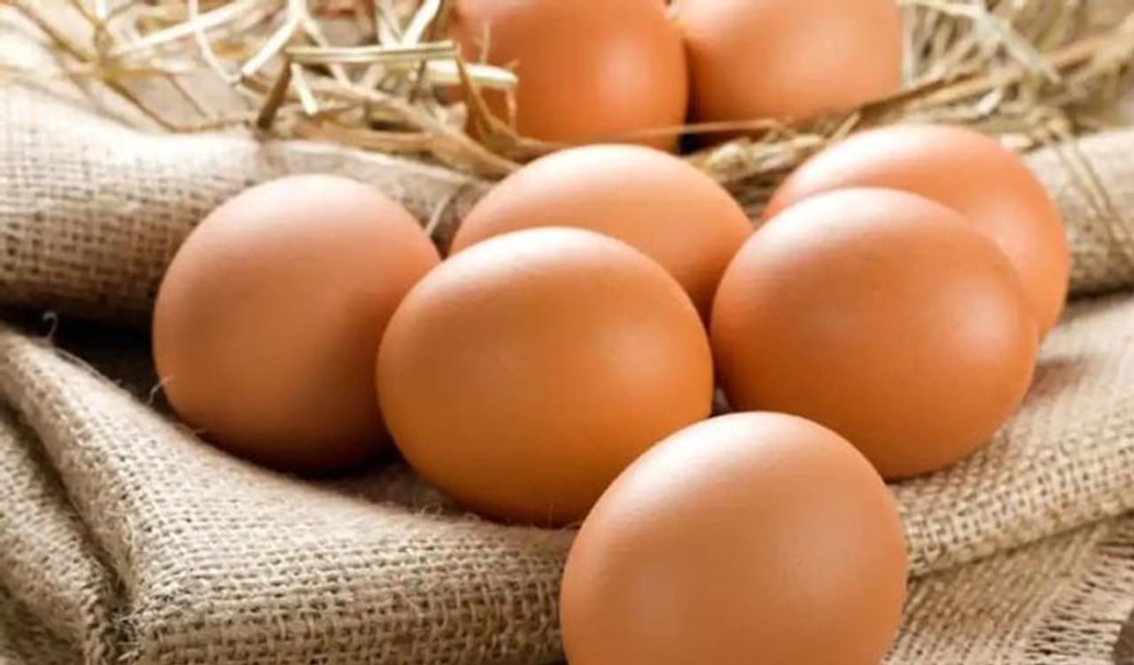 <p>Eggs are among the healthiest foods you can eat. They are rich in high quality protein, healthy fats and many essential vitamins and minerals.</p>