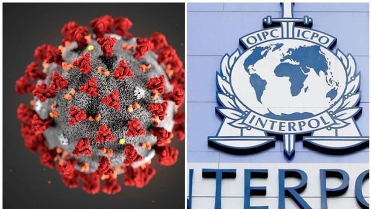 <p>കൊവിഡുമായി ബന്ധപ്പെട്ട് ഇന്റര്പോള് പുറത്തിറക്കിയ മാർഗ്ഗനിർദ്ദേശങ്ങളിലാണ് മുന്നറിയിപ്പുകള് നല്കുന്നത്. </p> <p>കൊവിഡുമായി ബന്ധപ്പെട്ട് ഇന്റര്പോള് പുറത്തിറക്കിയ മാർഗ്ഗനിർദ്ദേശങ്ങളിലാണ് മുന്നറിയിപ്പുകള് നല്കുന്നത്. </p>