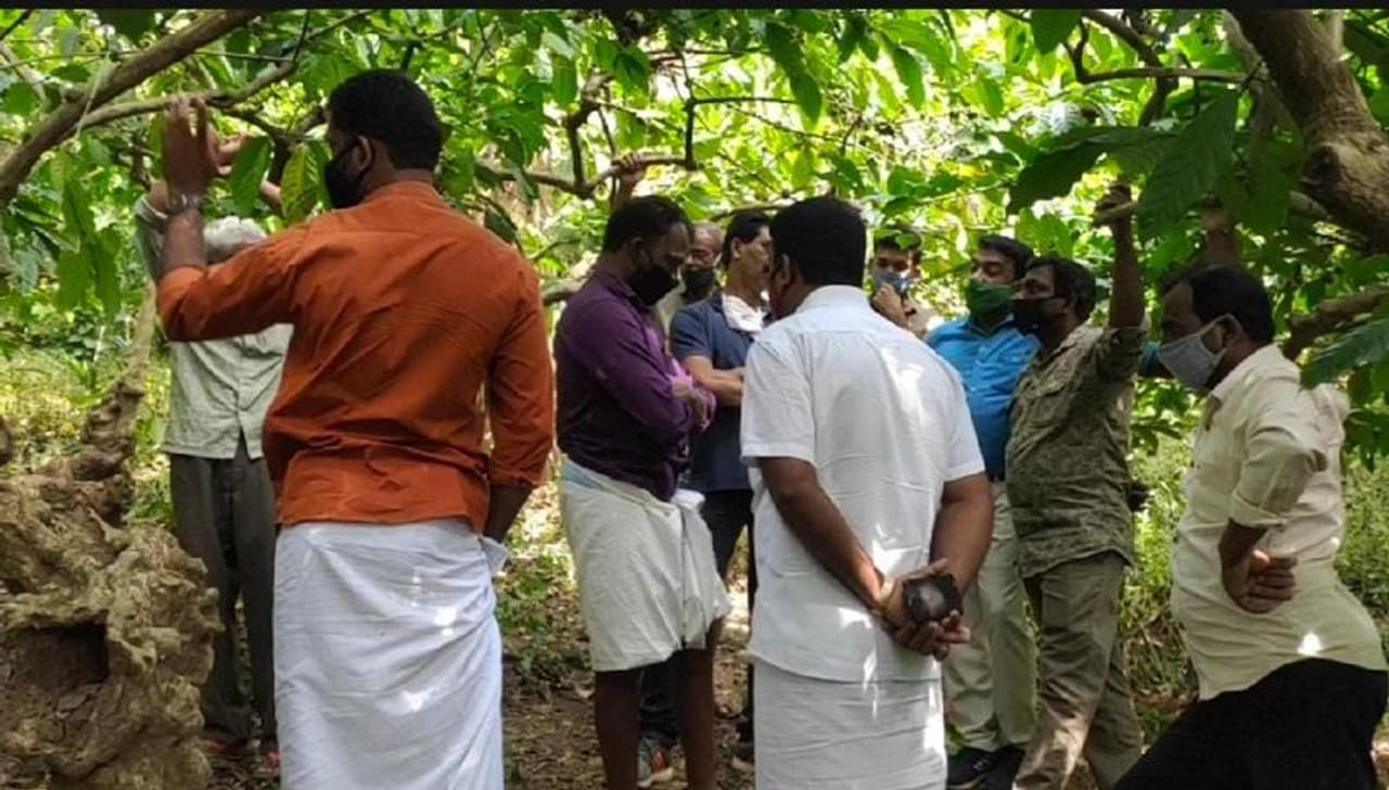 <p>കടുവയുടെ സാന്നിധ്യമുണ്ടെന്നറിഞ്ഞതോടെ പകല്പോലും പുറത്തിറങ്ങാന് ഭയമാണെന്ന് പ്രദേശവാസികള് പറഞ്ഞു. കടുവ ശല്യത്തിന് പരിഹാരം കാണണമെന്ന് ആവശ്യപ്പെട്ട് നാട്ടുകാര് പ്രതിഷേധിച്ചു. </p> <p>കടുവയുടെ സാന്നിധ്യമുണ്ടെന്നറിഞ്ഞതോടെ പകല്പോലും പുറത്തിറങ്ങാന് ഭയമാണെന്ന് പ്രദേശവാസികള് പറഞ്ഞു. കടുവ ശല്യത്തിന് പരിഹാരം കാണണമെന്ന് ആവശ്യപ്പെട്ട് നാട്ടുകാര് പ്രതിഷേധിച്ചു. </p>