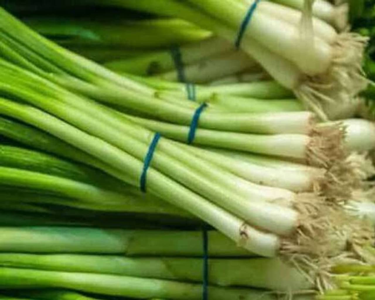<p>Spring onion</p>