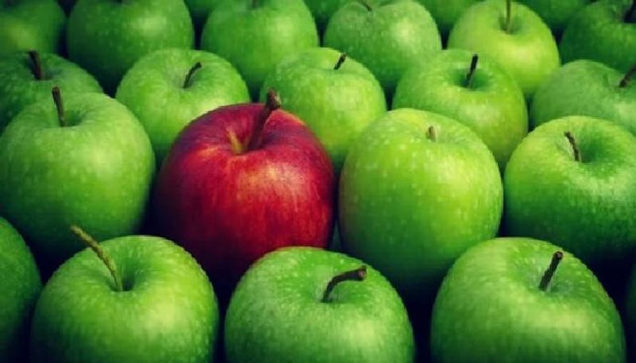 <p>ಸೇಬು ಹಣ್ಣು ಬಣ್ಣವು ಒಂದೇ ವಿಷಯವಲ್ಲ, ಈ ಎರಡು ಸೇಬುಗಳನ್ನು ಪರಸ್ಪರ ಭಿನ್ನವಾದ ಬಣ್ಣದೊಂದಿಗೆ, ಇವೆರಡೂ ವಿಭಿನ್ನ ರುಚಿ, ವಿಭಿನ್ನ ಪೋಷಕಾಂಶಗಳಿಂದ ತುಂಬಿರುತ್ತವೆ ಮತ್ತು ವಿಭಿನ್ನ ಪೌಷ್ಠಿಕಾಂಶದ ಪ್ರಯೋಜನಗಳನ್ನು ಹೊಂದಿವೆ. ಆದ್ದರಿಂದ ಯಾವುದು ಉತ್ತಮ ಎಂಬ ಕುತೂಹಲ ಇರುವುದು ಸಹಜ. ಈ ಲೇಖನದಲ್ಲಿ, ನಾವು ಎರಡು ಬಗೆಯ ಸೇಬನ್ನು ಹೋಲಿಸಿದ್ದೇವೆ ಮತ್ತು ಯಾವುದು ಉತ್ತಮ ಎಂದು ಕಂಡುಹಿಡಿಯಲು ಪ್ರಯತ್ನಿಸಿದ್ದೇವೆ?</p> <p>ಸೇಬು ಹಣ್ಣು ಬಣ್ಣವು ಒಂದೇ ವಿಷಯವಲ್ಲ, ಈ ಎರಡು ಸೇಬುಗಳನ್ನು ಪರಸ್ಪರ ಭಿನ್ನವಾದ ಬಣ್ಣದೊಂದಿಗೆ, ಇವೆರಡೂ ವಿಭಿನ್ನ ರುಚಿ, ವಿಭಿನ್ನ ಪೋಷಕಾಂಶಗಳಿಂದ ತುಂಬಿರುತ್ತವೆ ಮತ್ತು ವಿಭಿನ್ನ ಪೌಷ್ಠಿಕಾಂಶದ ಪ್ರಯೋಜನಗಳನ್ನು ಹೊಂದಿವೆ. ಆದ್ದರಿಂದ ಯಾವುದು ಉತ್ತಮ ಎಂಬ ಕುತೂಹಲ ಇರುವುದು ಸಹಜ. ಈ ಲೇಖನದಲ್ಲಿ, ನಾವು ಎರಡು ಬಗೆಯ ಸೇಬನ್ನು ಹೋಲಿಸಿದ್ದೇವೆ ಮತ್ತು ಯಾವುದು ಉತ್ತಮ ಎಂದು ಕಂಡುಹಿಡಿಯಲು ಪ್ರಯತ್ನಿಸಿದ್ದೇವೆ?</p>
