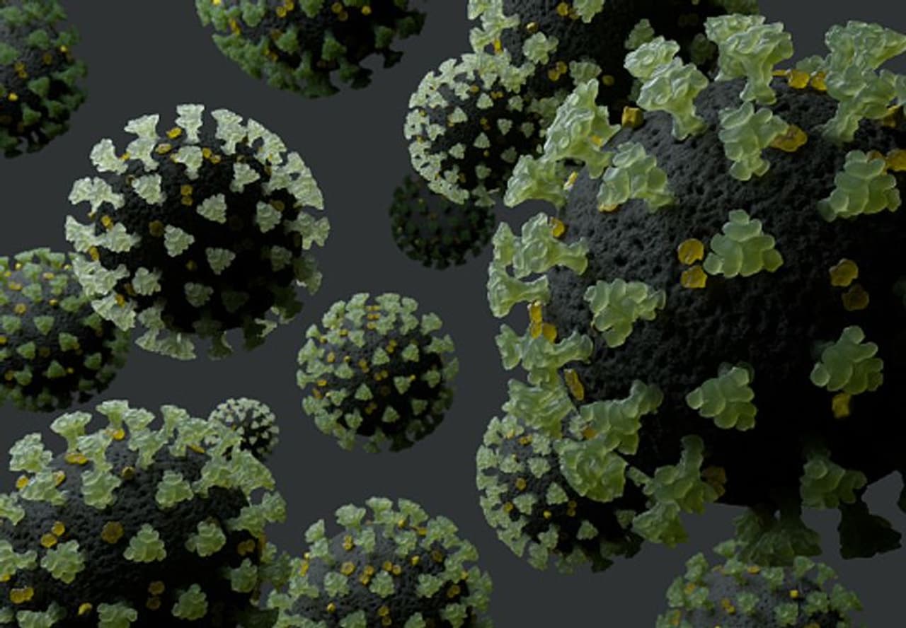 <p>കേരളത്തിൽ വൈറൽ രോഗങ്ങൾക്കുള്ള വാക്സിൻ ഗവേഷണവും നിർമ്മാണവും നടത്താനുള്ള സാധ്യതകൾ പരിശോധിക്കുകയാണെന്ന് മുഖ്യമന്ത്രി പിണറായി വിജയൻ പറഞ്ഞു.</p> <p>കേരളത്തിൽ വൈറൽ രോഗങ്ങൾക്കുള്ള വാക്സിൻ ഗവേഷണവും നിർമ്മാണവും നടത്താനുള്ള സാധ്യതകൾ പരിശോധിക്കുകയാണെന്ന് മുഖ്യമന്ത്രി പിണറായി വിജയൻ പറഞ്ഞു.</p>