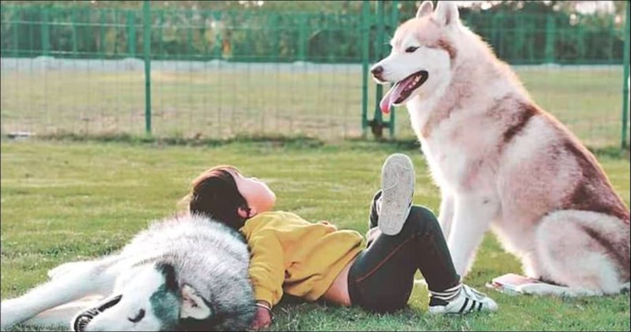 <p>ಈ ಪ್ರಾಣಿಗಳ ಪ್ರೇಮ ಅದ್ಭುತ. ತಮ್ಮ ರಕ್ತ ಸಂಬಂಧಿಗಳನ್ನು ಅವು ರಕ್ಷಿಸುವ ಪರಿ ಹೃದಯ ಸ್ಪರ್ಶಿಯಾಗಿರುತ್ತದೆ.</p> <p>ಈ ಪ್ರಾಣಿಗಳ ಪ್ರೇಮ ಅದ್ಭುತ. ತಮ್ಮ ರಕ್ತ ಸಂಬಂಧಿಗಳನ್ನು ಅವು ರಕ್ಷಿಸುವ ಪರಿ ಹೃದಯ ಸ್ಪರ್ಶಿಯಾಗಿರುತ್ತದೆ.</p>