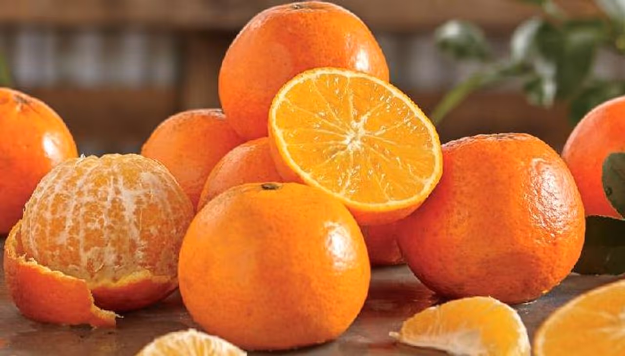 <p><strong>ഒന്ന്...</strong></p><p> </p><p>ഓറഞ്ചാണ് ഈ പട്ടികയിലെ ഒന്നാമന്. വിറ്റാമിന് സി ധാരാളം അടങ്ങിയ ഓറഞ്ച് ചര്മ്മത്തിന്റെ ആരോഗ്യത്തിന് വളരെ നല്ലതാണ്. ദിവസവും ഓറഞ്ച് ജ്യൂസ് കുടിക്കുന്നത് ചര്മ്മം തിളങ്ങാന് സഹായിക്കും. </p> <p><strong>ഒന്ന്...</strong></p><p> </p><p>ഓറഞ്ചാണ് ഈ പട്ടികയിലെ ഒന്നാമന്. വിറ്റാമിന് സി ധാരാളം അടങ്ങിയ ഓറഞ്ച് ചര്മ്മത്തിന്റെ ആരോഗ്യത്തിന് വളരെ നല്ലതാണ്. ദിവസവും ഓറഞ്ച് ജ്യൂസ് കുടിക്കുന്നത് ചര്മ്മം തിളങ്ങാന് സഹായിക്കും. </p>