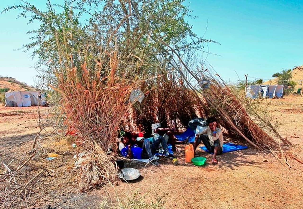 <p>ആറ് ദശലക്ഷം ജനങ്ങള് ജീവിക്കുന്ന പ്രദേശത്തിന്റെ സ്വയം നിർണ്ണയത്തിന് വേണ്ടിയാണ് എത്യോപ്യയിലെ ആഭ്യന്തരയുദ്ധം. അധിനിവേശക്കാർ പുറത്തുപോകുന്നതുവരെ ഇത് തുടരുമെന്ന് ടിഗ്രേയൻ നേതാവ് ഡിബ്രെഷൻ ജെബ്രെമൈക്കൽ പറഞ്ഞു. </p> <p>ആറ് ദശലക്ഷം ജനങ്ങള് ജീവിക്കുന്ന പ്രദേശത്തിന്റെ സ്വയം നിർണ്ണയത്തിന് വേണ്ടിയാണ് എത്യോപ്യയിലെ ആഭ്യന്തരയുദ്ധം. അധിനിവേശക്കാർ പുറത്തുപോകുന്നതുവരെ ഇത് തുടരുമെന്ന് ടിഗ്രേയൻ നേതാവ് ഡിബ്രെഷൻ ജെബ്രെമൈക്കൽ പറഞ്ഞു. </p>