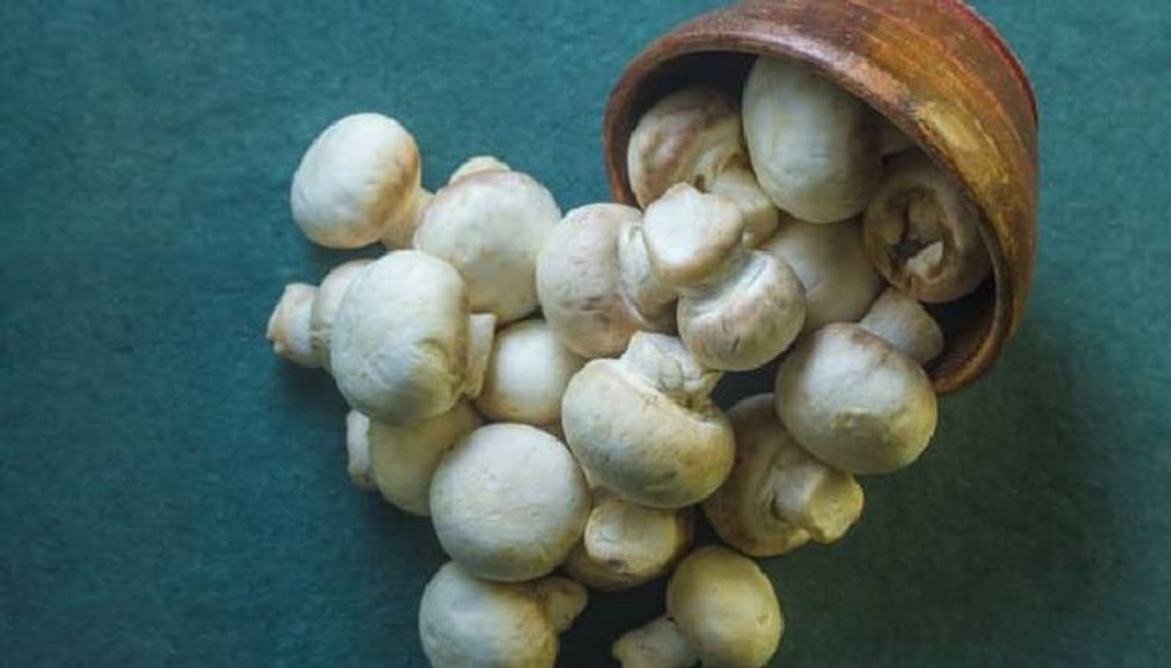 <p>ಈ ಅಣಬೆ ತಿಂದರೆ ಸಾಯಬಹುದು!<br />ತರಕಾರಿ ಮಾರುಕಟ್ಟೆಯಲ್ಲಿ ಪ್ಯಾಕ್ ಮಾಡಲಾದ ಬಿಳಿ ಅಣಬೆಗಳನ್ನು ಖರೀದಿಸಿ ತಿನ್ನುತ್ತೀರಿ. ಕೆಲವೊಮ್ಮೆ ಅವುಗಳನ್ನು ದೀರ್ಘಕಾಲ ಇಟ್ಟು ತಿಂದರೆ ಆರೋಗ್ಯಕ್ಕೆ ಒಳ್ಳೆಯದಲ್ಲ. </p> <p>ಈ ಅಣಬೆ ತಿಂದರೆ ಸಾಯಬಹುದು!<br />ತರಕಾರಿ ಮಾರುಕಟ್ಟೆಯಲ್ಲಿ ಪ್ಯಾಕ್ ಮಾಡಲಾದ ಬಿಳಿ ಅಣಬೆಗಳನ್ನು ಖರೀದಿಸಿ ತಿನ್ನುತ್ತೀರಿ. ಕೆಲವೊಮ್ಮೆ ಅವುಗಳನ್ನು ದೀರ್ಘಕಾಲ ಇಟ್ಟು ತಿಂದರೆ ಆರೋಗ್ಯಕ್ಕೆ ಒಳ್ಳೆಯದಲ್ಲ. </p>
