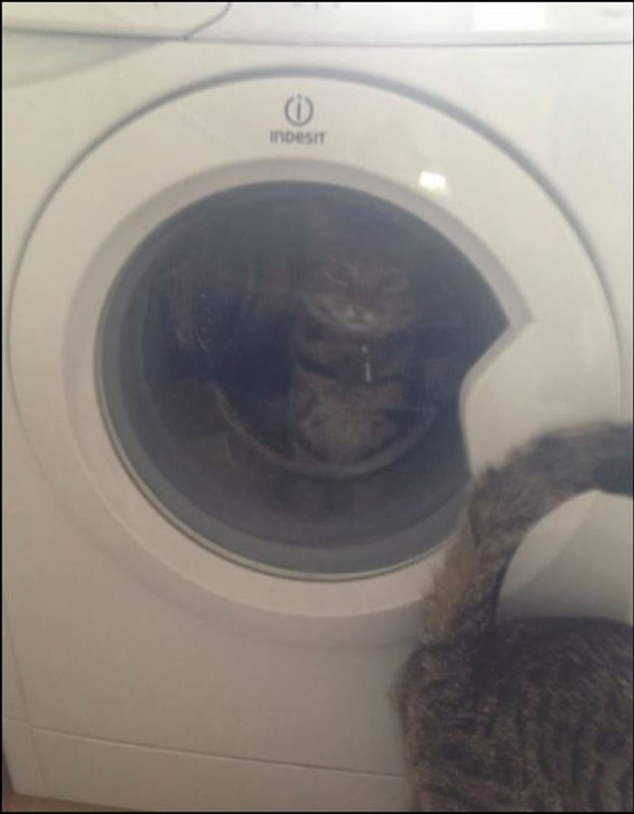 <p>ಈ ಪ್ರಾಣಿ ಜಗತ್ತಿನ ಕೌತುಕವೇ ವಿಸ್ಮಯ. ಅವುಗಳ ಪ್ರೀತಿ, ಪ್ರೇಮ, ಪೊಸೆಸಿವ್ನೆಸ್, ಹೊಟ್ಟೆಕಿಚ್ಚು ಎಲ್ಲವೂ ಚೆಂದ.</p> <p>ಈ ಪ್ರಾಣಿ ಜಗತ್ತಿನ ಕೌತುಕವೇ ವಿಸ್ಮಯ. ಅವುಗಳ ಪ್ರೀತಿ, ಪ್ರೇಮ, ಪೊಸೆಸಿವ್ನೆಸ್, ಹೊಟ್ಟೆಕಿಚ್ಚು ಎಲ್ಲವೂ ಚೆಂದ.</p>