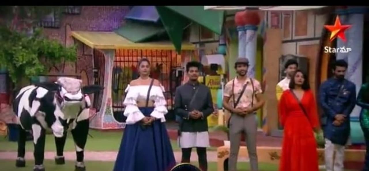 <p style="text align: justify;"><br />గార్డెన్ ఏరియాలో ఉన్న ఆవును నామినేషన్స్ లో ఉన్న సభ్యులు బ్రతిమిలాడుకోవాలని, ఎవరు ఆవు దగ్గర ఉన్నప్పుడు అంబా అని అరుస్తుందో వారు సేవ్ అయినట్లు, నాగార్జున చెప్పారు. అవినాష్, హారిక మరియు మోనాల్ ప్రయత్నించారు. ఐతే అభిజిత్ ఆవు దగ్గరకు పోయినప్పుడు అంబా అని సౌండ్ రావడంతో అతను సేవ్ అయ్యాడు. </p> <p style="text align: justify;"><br />గార్డెన్ ఏరియాలో ఉన్న ఆవును నామినేషన్స్ లో ఉన్న సభ్యులు బ్రతిమిలాడుకోవాలని, ఎవరు ఆవు దగ్గర ఉన్నప్పుడు అంబా అని అరుస్తుందో వారు సేవ్ అయినట్లు, నాగార్జున చెప్పారు. అవినాష్, హారిక మరియు మోనాల్ ప్రయత్నించారు. ఐతే అభిజిత్ ఆవు దగ్గరకు పోయినప్పుడు అంబా అని సౌండ్ రావడంతో అతను సేవ్ అయ్యాడు. </p>