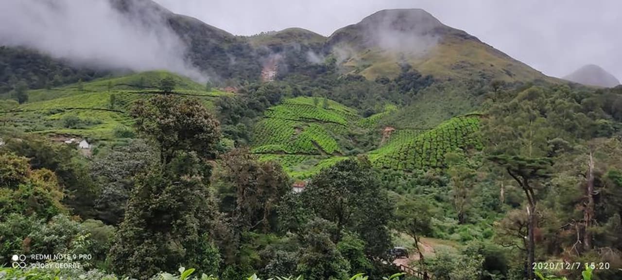 <p>ഇത്തവണത്തെ ഇലക്ഷൻ ഡ്യൂട്ടി ദേവികുളം താലൂക്കിലെ ഗോത്രവർഗ്ഗ പഞ്ചായത്തായ ഇടമലക്കുടിയിലായിരുന്നു. ഇടമലക്കുടി റിട്ടേണിങ്ങ് ഓഫീസറുടെ ടീമിൽ.</p>