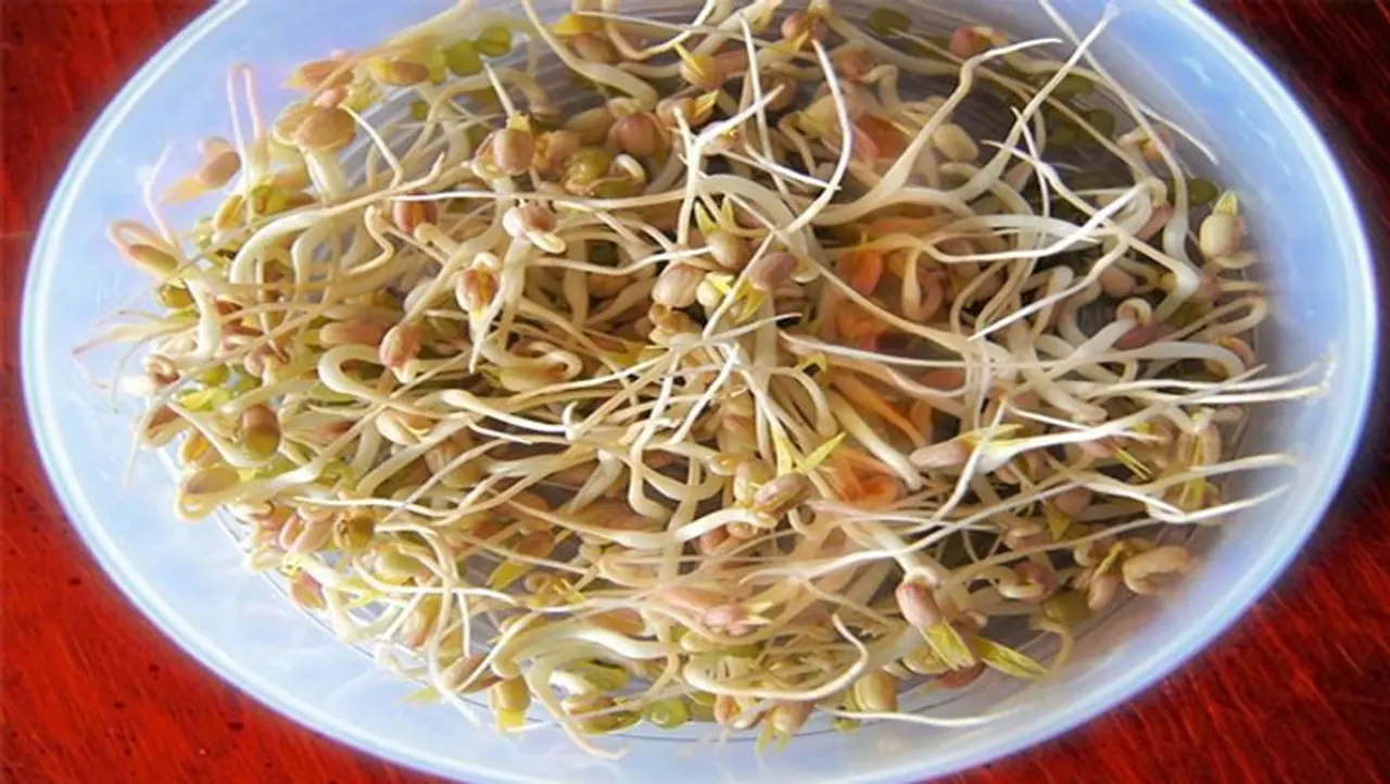 <p><strong>ಮೊಳಕೆಕಾಳಲ್ಲಿ ಕರಿದ ಪದಾರ್ಥಗಳಿಗಿಂತ ನೂರು ಪಟ್ಟು ಹೆಚ್ಚು ಕಿಣ್ವಗಳು: .</strong><br />ತಜ್ಞರ ಪ್ರಕಾರ, ಯಾವುದೇ ಆಹಾರವನ್ನು ಹುರಿಯುವ ಅಥವಾ ಇತರೆ ಪದಾರ್ಥಗಳನ್ನು ಸೇರಿಸುವ ಮೂಲಕ ಯಾವುದೇ ಆಹಾರದ ಪೋಷಕಾಂಶವನ್ನು ತೆಗೆದುಹಾಕುತ್ತೇವೆ. ಮೊಳಕೆಕಾಳುಗಳಲ್ಲಿ ಕರಿದ ಆಹಾರಕ್ಕಿಂತ ನೂರು ಪಟ್ಟು ಹೆಚ್ಚು ಕಿಣ್ವಗಳು ಸಿಗುತ್ತವೆ. </p> <p><strong>ಮೊಳಕೆಕಾಳಲ್ಲಿ ಕರಿದ ಪದಾರ್ಥಗಳಿಗಿಂತ ನೂರು ಪಟ್ಟು ಹೆಚ್ಚು ಕಿಣ್ವಗಳು: .</strong><br />ತಜ್ಞರ ಪ್ರಕಾರ, ಯಾವುದೇ ಆಹಾರವನ್ನು ಹುರಿಯುವ ಅಥವಾ ಇತರೆ ಪದಾರ್ಥಗಳನ್ನು ಸೇರಿಸುವ ಮೂಲಕ ಯಾವುದೇ ಆಹಾರದ ಪೋಷಕಾಂಶವನ್ನು ತೆಗೆದುಹಾಕುತ್ತೇವೆ. ಮೊಳಕೆಕಾಳುಗಳಲ್ಲಿ ಕರಿದ ಆಹಾರಕ್ಕಿಂತ ನೂರು ಪಟ್ಟು ಹೆಚ್ಚು ಕಿಣ್ವಗಳು ಸಿಗುತ್ತವೆ. </p>