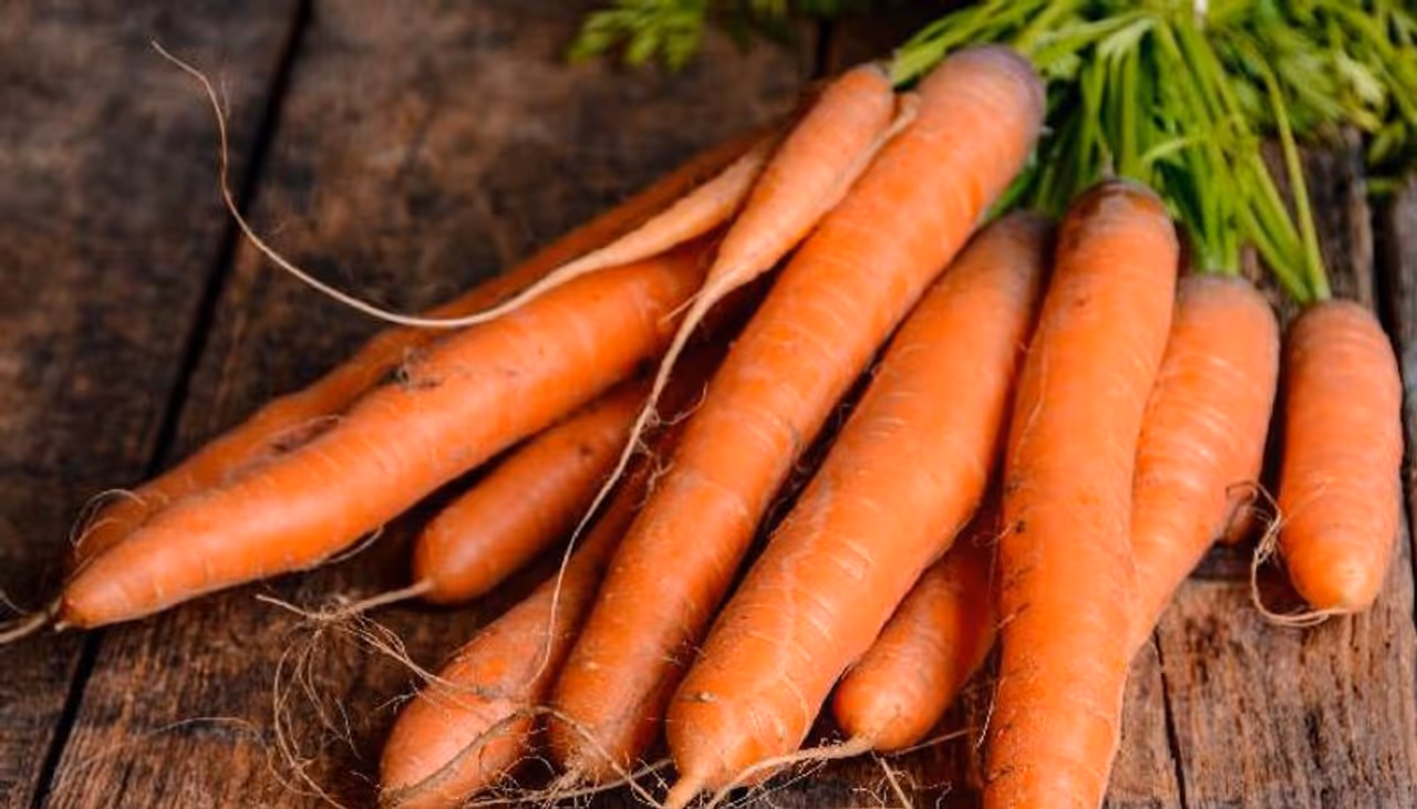 <p>കുറഞ്ഞ കലോറിയും നാരുകളും പോഷകങ്ങളാലും സമ്പുഷ്ടമാണ് കാരറ്റ്. വയറിലെ കൊഴുപ്പ് കുറയ്ക്കുന്നതിനുള്ള ഏറ്റവും ഫലപ്രദമായ മാർഗമാണ് കാരറ്റ്. ദിവസവും കാരറ്റ് ഭക്ഷണത്തിൽ ഉൾപ്പെടുത്തണമെന്നാണ് വിദഗ്ധർ നിർദേശിക്കുന്നത്.</p><p style="text align: justify;"> </p> <p>കുറഞ്ഞ കലോറിയും നാരുകളും പോഷകങ്ങളാലും സമ്പുഷ്ടമാണ് കാരറ്റ്. വയറിലെ കൊഴുപ്പ് കുറയ്ക്കുന്നതിനുള്ള ഏറ്റവും ഫലപ്രദമായ മാർഗമാണ് കാരറ്റ്. ദിവസവും കാരറ്റ് ഭക്ഷണത്തിൽ ഉൾപ്പെടുത്തണമെന്നാണ് വിദഗ്ധർ നിർദേശിക്കുന്നത്.</p><p style="text align: justify;"> </p>