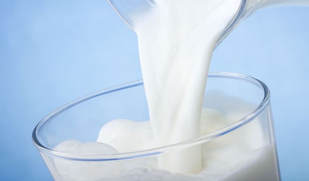<p>Cow's milk makes one of the most nutritious and popular foods around the world, thanks to its versatility; you make butter, cheese, yogurt, smoothies, shakes and ice cream out of it. It can also be enjoyed as it is as a refreshing drink boasting of innumerable health properties.</p> <p>Cow's milk makes one of the most nutritious and popular foods around the world, thanks to its versatility; you make butter, cheese, yogurt, smoothies, shakes and ice cream out of it. It can also be enjoyed as it is as a refreshing drink boasting of innumerable health properties.</p>