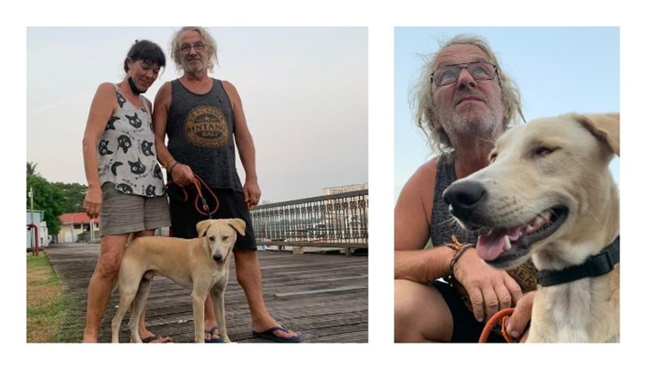 <p>ബൊനം പേരുകളില്ലാത്ത ഒരു സാധാരണ തെരുവ് പട്ടിയായിരുന്നു. ഡൊമനിക്കിനെ പാതി മുറിഞ്ഞ കണ്ണാല്‍ കാണും വരെ. പക്ഷേ, ഇന്ന് അവന്‍ വെറുമൊരു തെരുവ് പട്ടിയല്ല. നാളെ ഫ്രാന്‍സില്‍ ജീവിക്കേണ്ടവന്‍. അതും കടലേഴും കടന്ന് &nbsp;ഫ്രാന്‍സിലേക്ക് പോകാനായി പായ്ക്കപ്പല് കയറാന്‍ കാത്തിരിക്കുകയാണവന്‍. &nbsp;</p>