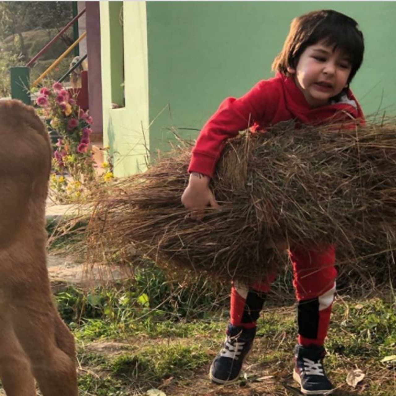 <p>ಭಾನುವಾರ ತಮ್ಮ ಮಗ ತೈಮೂರ್ ಅಲಿ ಖಾನ್ ಅವರ ನಾಲ್ಕನೇ ಹುಟ್ಟುಹಬ್ಬದ ಸಂದರ್ಭದಲ್ಲಿ ನಟ ಕರೀನಾ ಕಪೂರ್ ಖಾನ್ ಪ್ರೀತಿಯ ಪತ್ರ ಶೇರ್ ಮಾಡಿಕೊಂಡಿದ್ದಾರೆ.</p>