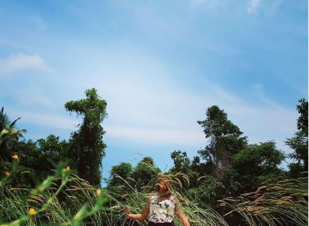 <p>நடிகர் மோகன் லால் சுசித்ரா தம்பதிகளின் மகள் விஸ்மயா தற்காப்பு கலையில் மிகவும் ஆர்வம் கொண்டவர்.</p> <p>நடிகர் மோகன் லால் சுசித்ரா தம்பதிகளின் மகள் விஸ்மயா தற்காப்பு கலையில் மிகவும் ஆர்வம் கொண்டவர்.</p>