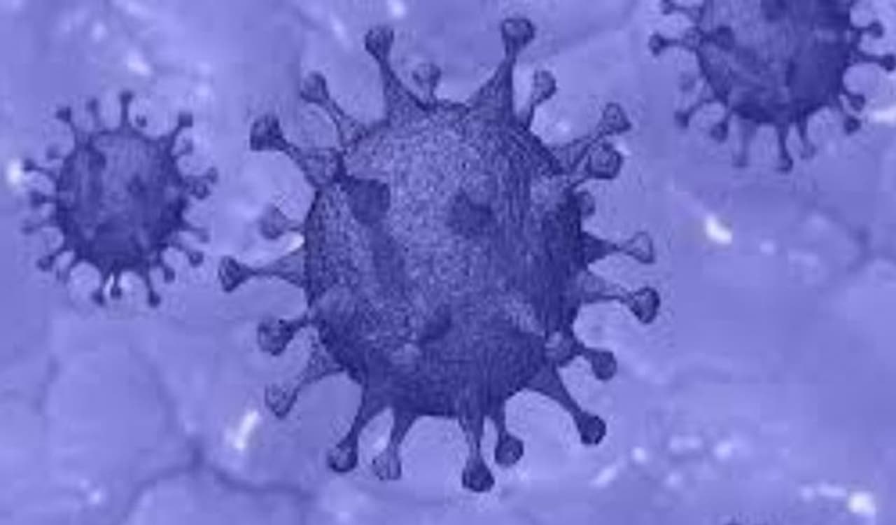 <p>Marking the lowest single day increase since April 14, India has reported less than 2 lakh Covid 19 cases. In the last 24 hours, 1,96,427 new cases were added, taking the total count to 2,69,48,874.</p> <p>Marking the lowest single day increase since April 14, India has reported less than 2 lakh Covid 19 cases. In the last 24 hours, 1,96,427 new cases were added, taking the total count to 2,69,48,874.</p>