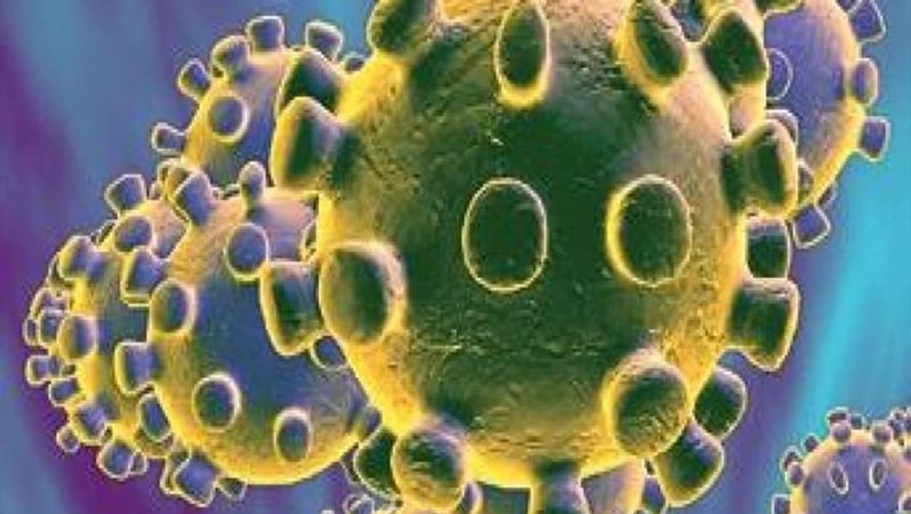 <p>Daily cases of Covid 19 in the country climbed to over 13,000 after 19 days taking India's tally of cases to 1,09,63,394, while the recoveries surged to 1,06,67,741, according to Union Health Ministry data updated on Friday.</p>