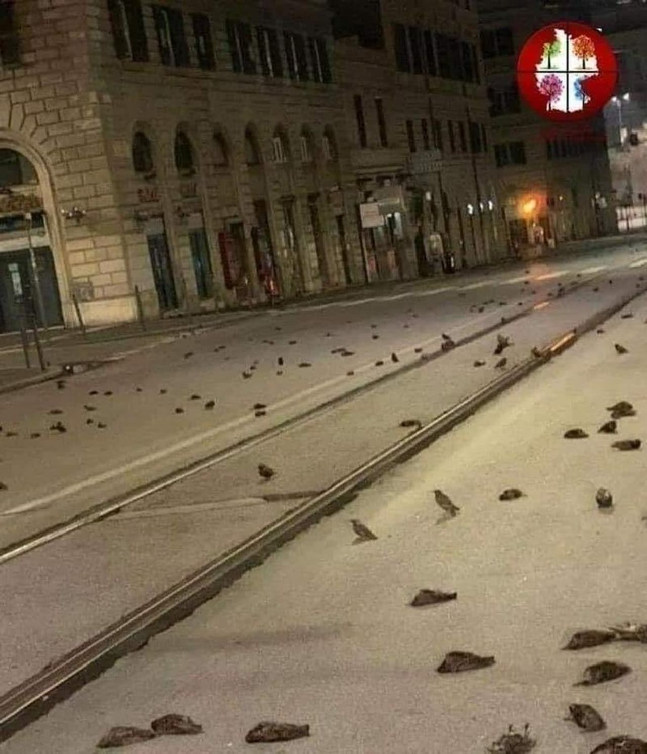 <p>ഓരോ വർഷവും പടക്കങ്ങൾ പൊട്ടിക്കുന്നത് കാട്ടുമൃഗങ്ങളെയും വളർത്തുമൃഗങ്ങളെയും ഒരു പോലെ പ്രശ്നത്തിലാക്കുന്നു. വ്യക്തിഗത വെടിക്കെട്ട് പ്രദർശനങ്ങൾക്ക് റോം നഗരത്തില്‍ നിരോധനം ഉണ്ട്. &nbsp;</p>