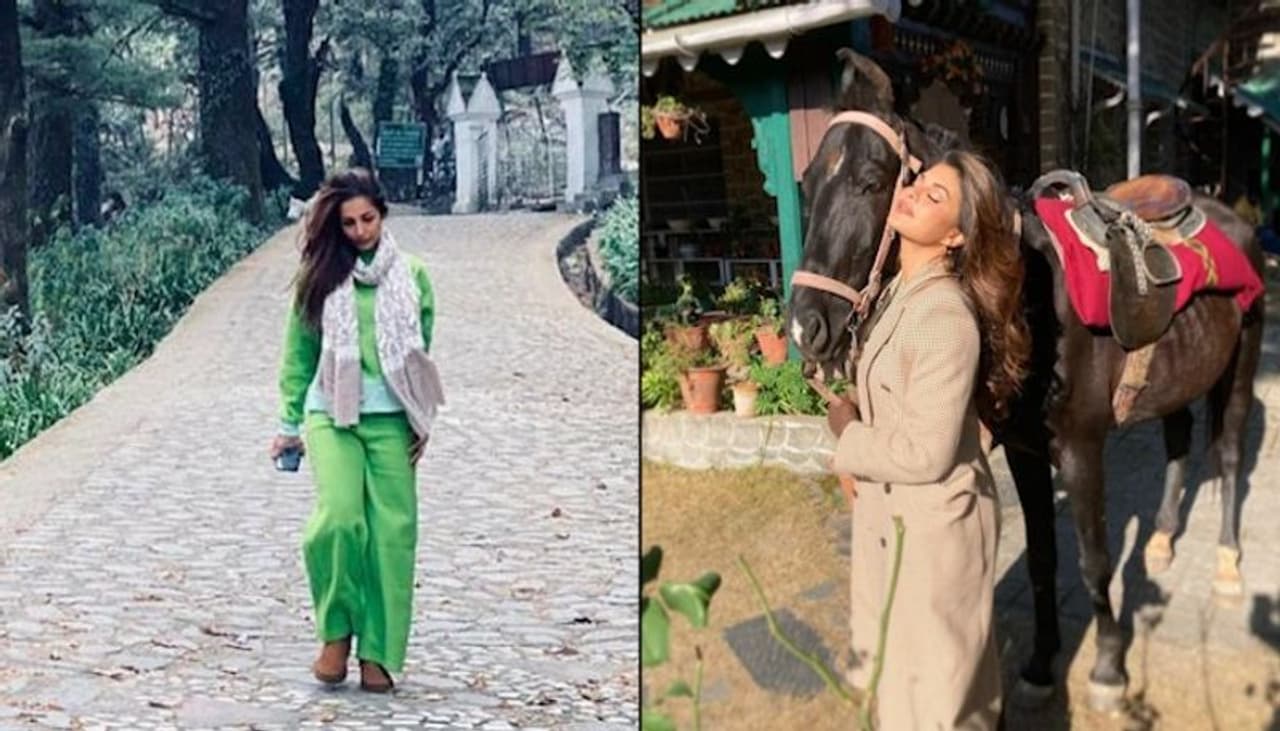 <p style="text align: justify;">In 2020, the outbreak of the virus had made all of us bound at our homes. So, our favourite Bollywood stars couldn't visit the places they like. But as soon as the regulations loosened they all went to either Goa, Maldives, Himachal Pradesh or Rajasthan to have a short trip. Here are the celebs who went to Himachal Pradesh, some to shoot and some to enjoy.</p>