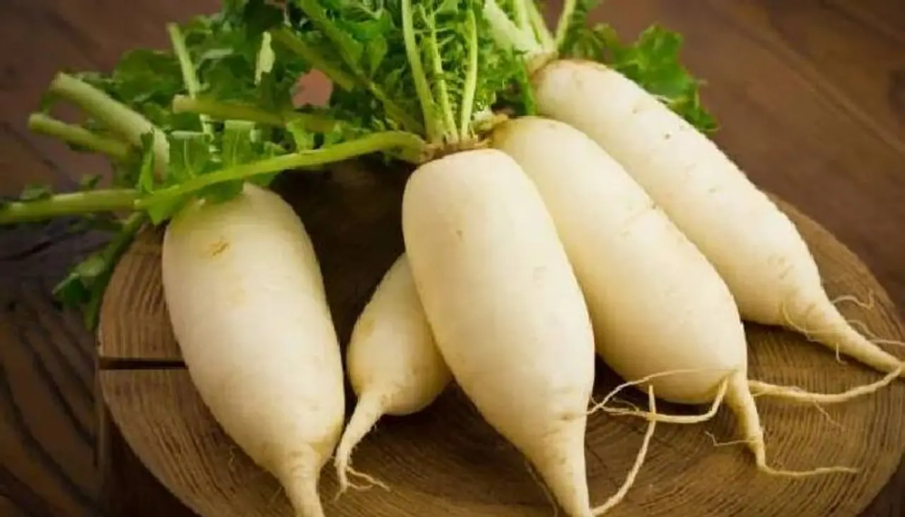 <p>ಮೂಲಂಗಿಯನ್ನು ಸಲಾಡ್‌ನಂತೆ&nbsp;ಮತ್ತು ತರಕಾರಿಯಾಗಿಯೂ ಸೇವಿಸಲಾಗುತ್ತದೆ. ಇದರಿಂದ ತಯಾರಿಸಿದ ಪಲ್ಯ ಮತ್ತು ಪರೋಟಗಳು ತುಂಬಾ ರುಚಿಯಾಗಿರುತ್ತವೆ. ಆದರೆ ಮೂಲಂಗಿ&nbsp;ಸೇವನೆಯು ಇತರ ಅನೇಕ ಆಹಾರಗಳೊಂದಿಗೆ ಸೇವಿಸಿದರೆ ಹಾನಿಕಾರಕ&nbsp;ಎಂದು ತಿಳಿದಿದೆಯೇ. ಆದ್ದರಿಂದ ಮೂಲಂಗಿಯಿಂದ ದೂರವಿಡಬೇಕಾದ ಕೆಲವು ಆಹಾರಗಳ ಬಗ್ಗೆ ತಿಳಿಯೋಣ. ..</p>