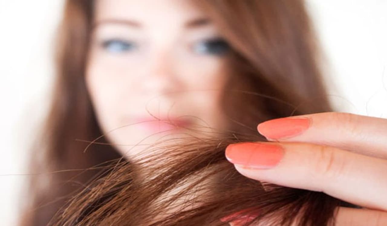 <p>Dry, frizzy hair can be one of your worst nightmares. We know how hard it can be to battle brittle hair or even think about stepping out on a bad hair day but not anymore.</p> <p>Dry, frizzy hair can be one of your worst nightmares. We know how hard it can be to battle brittle hair or even think about stepping out on a bad hair day but not anymore.</p>