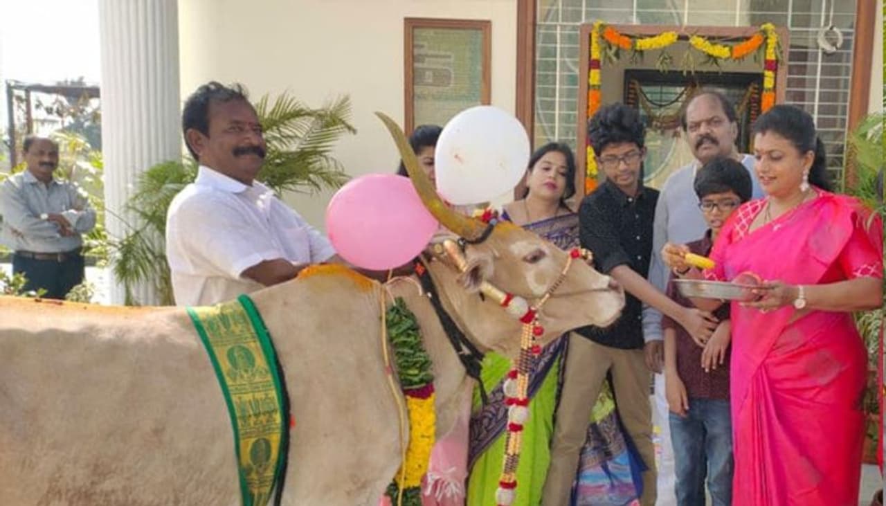 <p>సినీ నటి, నగరి ఎమ్మెల్యే రోజా ఇంట సంక్రాంతి వేడుకలు ఘనంగా జరుపుకున్నారు. రోజా తన నివాసంలో కుటుంసభ్యుల మధ్య ఈ వేడుకలు జరుపుకున్నారు.</p> <p>సినీ నటి, నగరి ఎమ్మెల్యే రోజా ఇంట సంక్రాంతి వేడుకలు ఘనంగా జరుపుకున్నారు. రోజా తన నివాసంలో కుటుంసభ్యుల మధ్య ఈ వేడుకలు జరుపుకున్నారు.</p>