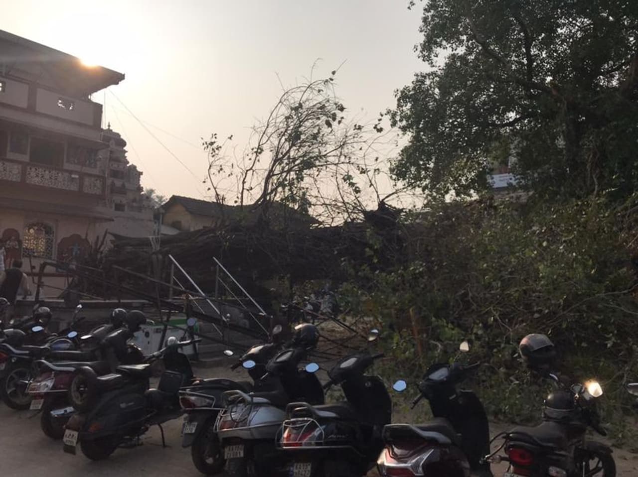 <p>ಧರಾ ಶಾಹಿಯಾದ 57 ವರ್ಷಗಳಲ್ಲಿ ಹಳೆಯ ಅಶ್ವಥ್ಥ ಮರ, ಮಂಗಳೂರಿನ ರಥಬೀದಿ ಶ್ರೀ ವೆಂಕಟರಮಣ ದೇವಸ್ಥಾನದ ಮುಂಭಾಗ ಘಟನೆ</p> <p>ಧರಾ ಶಾಹಿಯಾದ 57 ವರ್ಷಗಳಲ್ಲಿ ಹಳೆಯ ಅಶ್ವಥ್ಥ ಮರ, ಮಂಗಳೂರಿನ ರಥಬೀದಿ ಶ್ರೀ ವೆಂಕಟರಮಣ ದೇವಸ್ಥಾನದ ಮುಂಭಾಗ ಘಟನೆ</p>