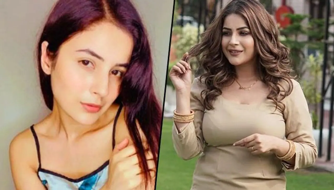 <p>Shehnaaz Gill got national flame after entering in Bigg Boss 13 house. She got alot of love and work post the show.</p> <p>Shehnaaz Gill got national flame after entering in Bigg Boss 13 house. She got alot of love and work post the show.</p>