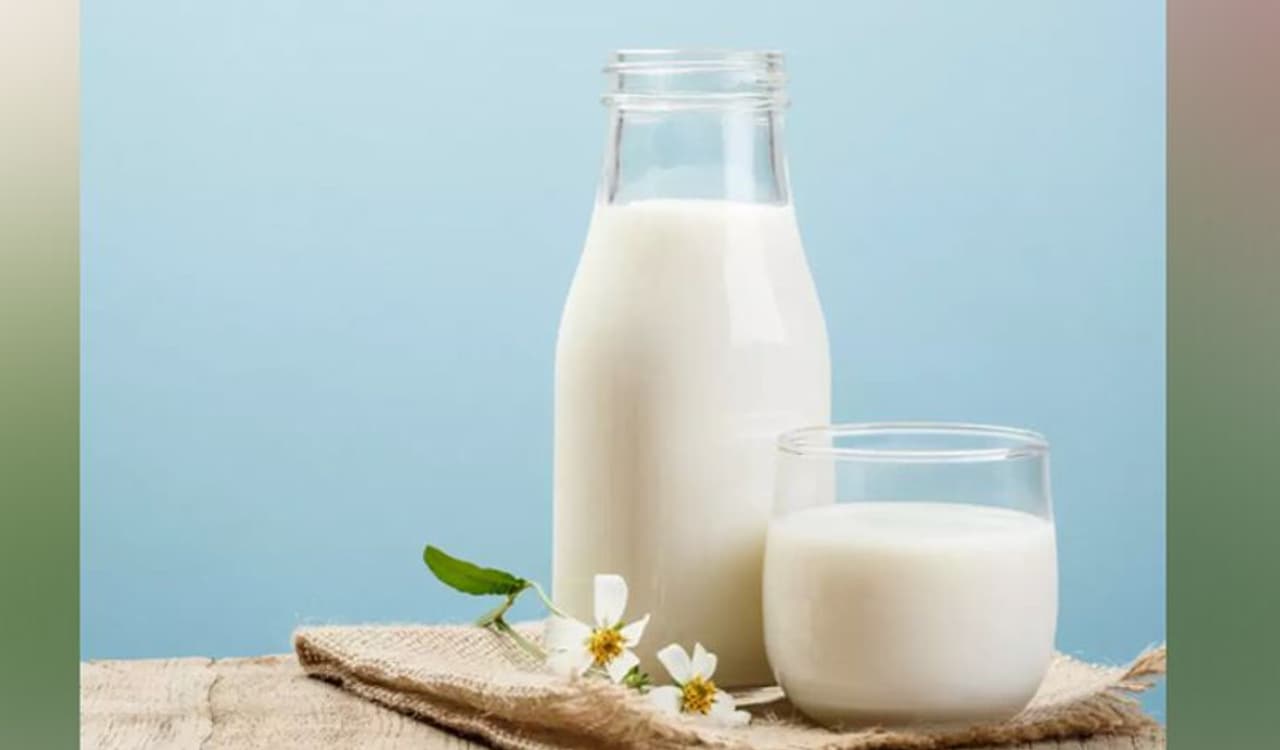 <p>ಲ್ಯಾಕ್ಟೋಸ್ ಇಂಟೊಲ್ರೆಂಟ್ ಆಗಿದ್ದರೆ, ಹಾಲಿಗೆ ಡೈರಿಯೇತರ ಪರ್ಯಾಯವನ್ನು ಹುಡುಕುತ್ತಿದ್ದರೆ, ನೀವು ಪ್ರಯತ್ನಿಸಬಹುದಾದ ಕೆಲವು ಆಯ್ಕೆಗಳು ಇಲ್ಲಿವೆ. ಇವುಗಳು ಹಾಲಿನಂತೆ ಪೌಷ್ಟಿಕವಾಗಿದೆ. ಜೊತೆಗೆ ಆರೋಗ್ಯಕ್ಕೂ ಉತ್ತಮವಾಗಿದೆ.&nbsp;</p>