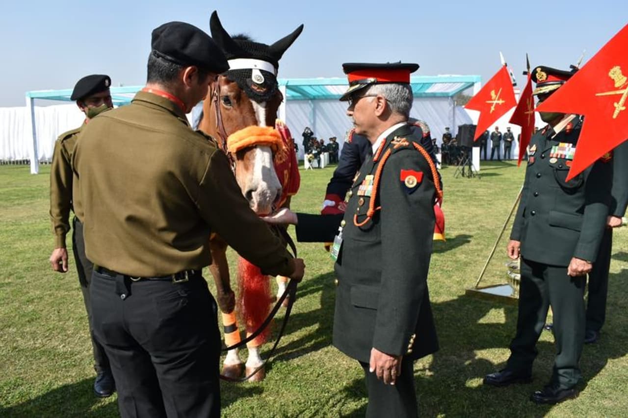 <p>Indian Army 61 Cavalry’s horse Rio received Chief of Army Staff commendation on Sunday for his stellar service as he completed his 18th Republic Day parade. </p> <p>Indian Army 61 Cavalry’s horse Rio received Chief of Army Staff commendation on Sunday for his stellar service as he completed his 18th Republic Day parade. </p>