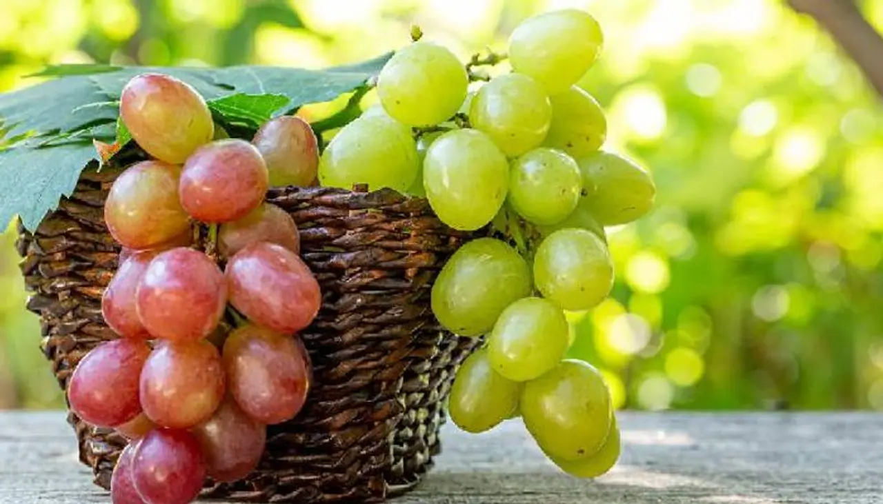 <p>పండ్లు తినడం ఆరోగ్యానికి చాలా మంచిది. ఒక్కో పండు కారణంగా ఒక్కో రకమైన ప్రయోజనాలు లభిస్తాయి. మరి.. ద్రాక్ష పండ్లు తినడం వల్ల కలిగే లాభాల గురించి ఎప్పుడైనా తెలుసుకునే ప్రయత్నం చేశారా..?</p>