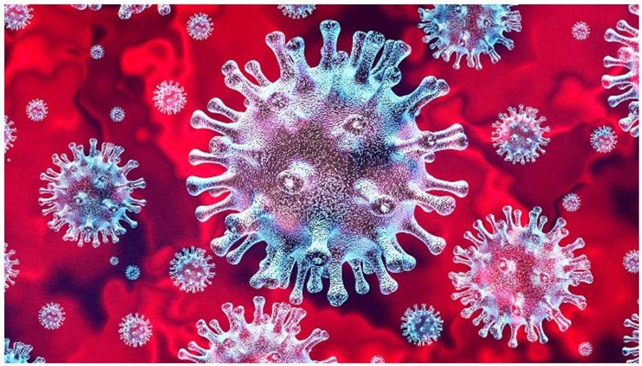 <p>Out of the 7 deaths in the state, 2 are from Kolkata and 3 from North 24 Parganas. However, the total number of deaths in Kolkata so far stands at 3,078.<br />&nbsp;</p>