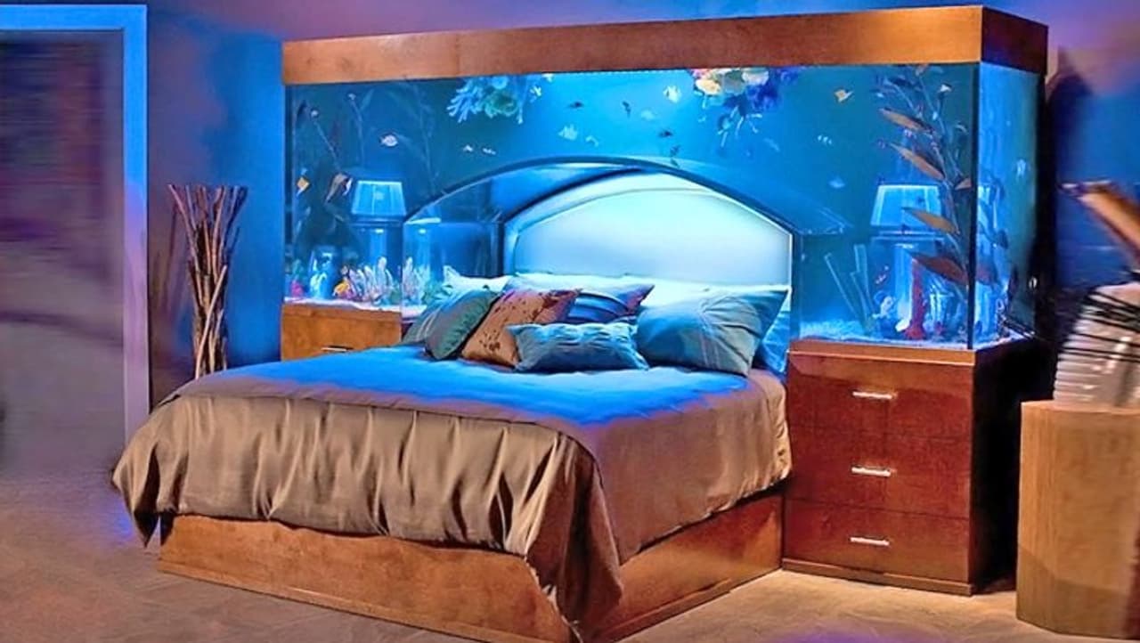 <p>ಮಾರುಕಟ್ಟೆಯಲ್ಲಿ ಶೋಪೀಸ್ ಸುಲಭವಾಗಿ ಸಿಗುತ್ತವೆ. ಜೀವನದಲ್ಲಿ ಪ್ರೀತಿಯ ಕೊರತೆ ಇದ್ದರೆ ಅಥವಾ ಪ್ರೇಮ ಸಂಬಂಧದಲ್ಲಿ ತೊಂದರೆಗಳಿದ್ದರೆ, ಫೆಂಗ್ಶುಯಿಯಲ್ಲಿ ಉಲ್ಲೇಖಿಸಿರುವ ವಸ್ತುಗಳನ್ನು ಮನೆಯಲ್ಲಿ ಇಡುವ ಮೂಲಕ ಪ್ರೀತಿಯ ಸಂಬಂಧದ ತೊಂದರೆಗಳನ್ನು ನಿವಾರಿಸಿ, ಸಂಬಂಧವನ್ನು ಗಟ್ಟಿಗೊಳಿಸಿಕೊಳ್ಳಿ. </p> <p>ಮಾರುಕಟ್ಟೆಯಲ್ಲಿ ಶೋಪೀಸ್ ಸುಲಭವಾಗಿ ಸಿಗುತ್ತವೆ. ಜೀವನದಲ್ಲಿ ಪ್ರೀತಿಯ ಕೊರತೆ ಇದ್ದರೆ ಅಥವಾ ಪ್ರೇಮ ಸಂಬಂಧದಲ್ಲಿ ತೊಂದರೆಗಳಿದ್ದರೆ, ಫೆಂಗ್ಶುಯಿಯಲ್ಲಿ ಉಲ್ಲೇಖಿಸಿರುವ ವಸ್ತುಗಳನ್ನು ಮನೆಯಲ್ಲಿ ಇಡುವ ಮೂಲಕ ಪ್ರೀತಿಯ ಸಂಬಂಧದ ತೊಂದರೆಗಳನ್ನು ನಿವಾರಿಸಿ, ಸಂಬಂಧವನ್ನು ಗಟ್ಟಿಗೊಳಿಸಿಕೊಳ್ಳಿ. </p>