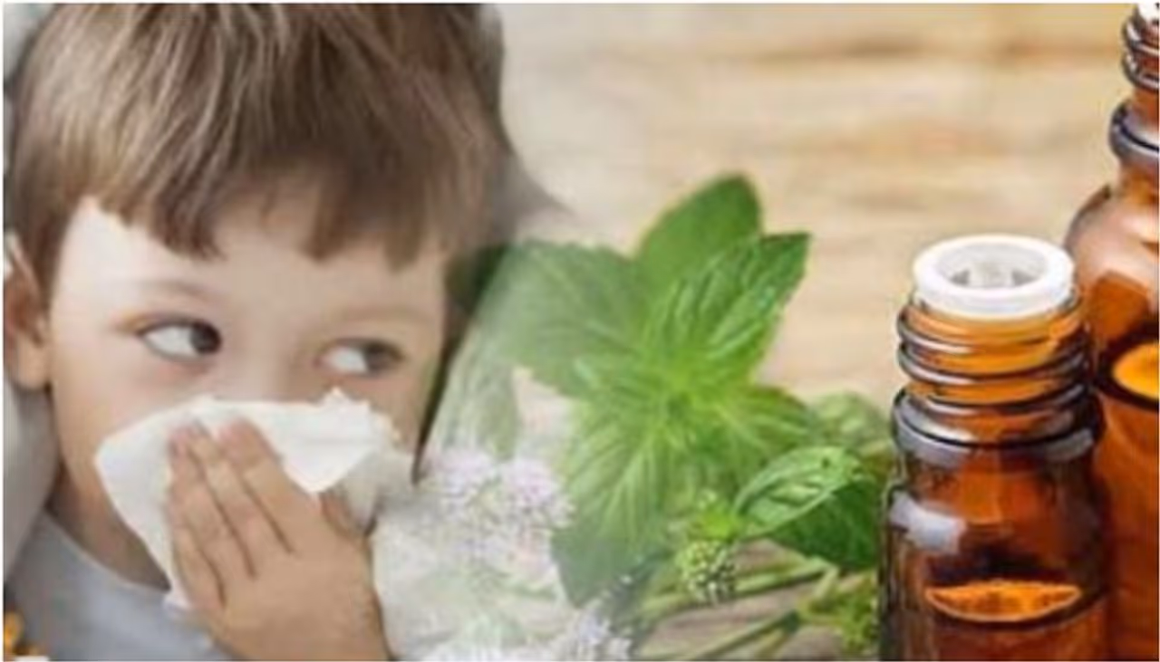 <p style="text align: justify;">With the current situation, we all need strong immunity power to fight this deadly COVID 19. Among all of us, kids need mos of the care. A good healthy meal with proper light exercise can boost up energy. Here are 5 ayurvedic herbs that are easily available and can help your kids promote a high immune system.</p> <p style="text align: justify;">With the current situation, we all need strong immunity power to fight this deadly COVID 19. Among all of us, kids need mos of the care. A good healthy meal with proper light exercise can boost up energy. Here are 5 ayurvedic herbs that are easily available and can help your kids promote a high immune system.</p>